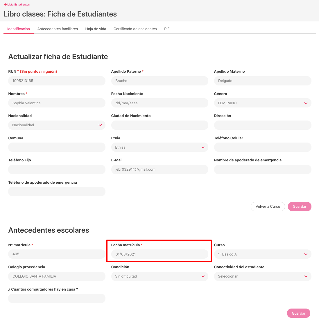 Lirmi_-_Ficha_Es__1_.png